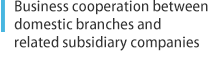 Business cooperation between domestic branches and related subsidiary companies